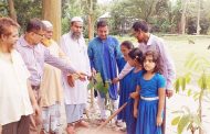 গাছ লাগান পরিবেশ বাচান বক্তাবলী ৫০নং পশ্চিম চরগড়কুল সরকারি প্রাথমিক বিদ্যালয়ের উদ্যোগে বৃক্ষরোপন