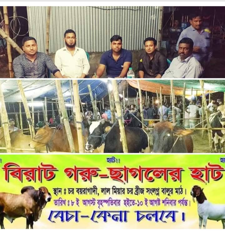 ফতুল্লা বক্তাবলি চরবয়রাগাদীতে বিরাট গরু ছাগলের হাট