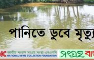 সৌদির পথে ১৬ হাজার ভেড়া নিয়ে ডুবে গেলো সুদানের ১টি জাহাজ