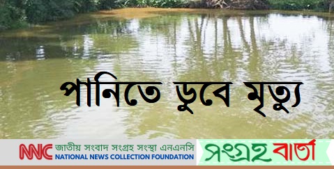 সৌদির পথে ১৬ হাজার ভেড়া নিয়ে ডুবে গেলো সুদানের ১টি জাহাজ