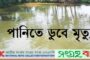 ১ নভেম্বর সংবাদচিত্রে রাজধানী