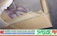 কুকুরের বাচ্চাও কেউ ফেলে দেয়নাঃ ময়লার স্তুপে কাঁদছিল নবজাতক